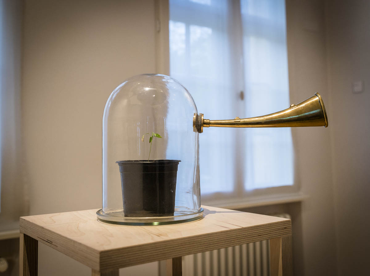 Bundespreis Eco Design