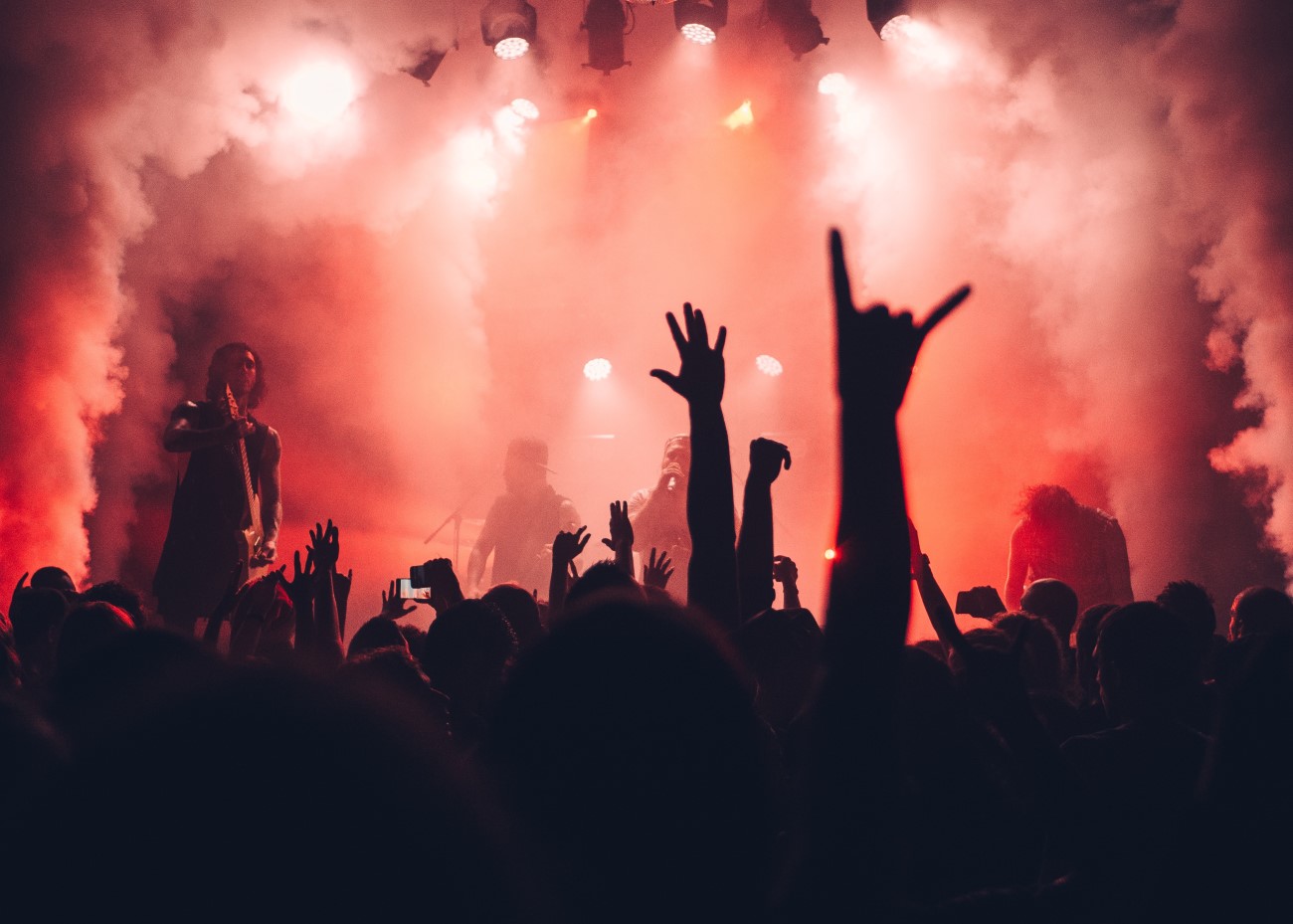 Live 100 Förderprogramm