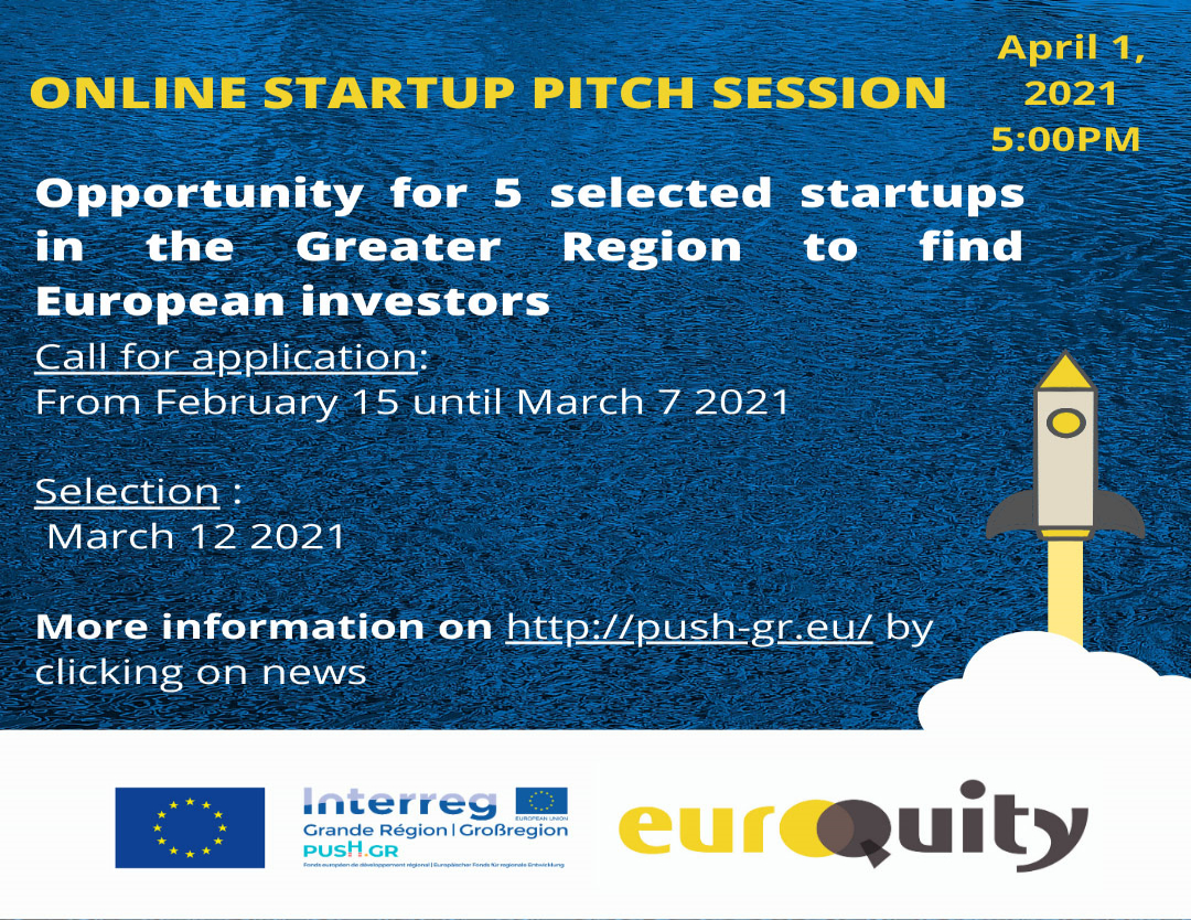 Online Startup Pitch Session