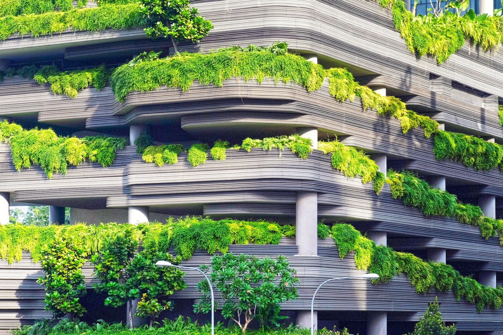 Open Call »Visions for Culture in a Sustainable Future« 1