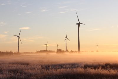 Environmental Photographer of the year 2022