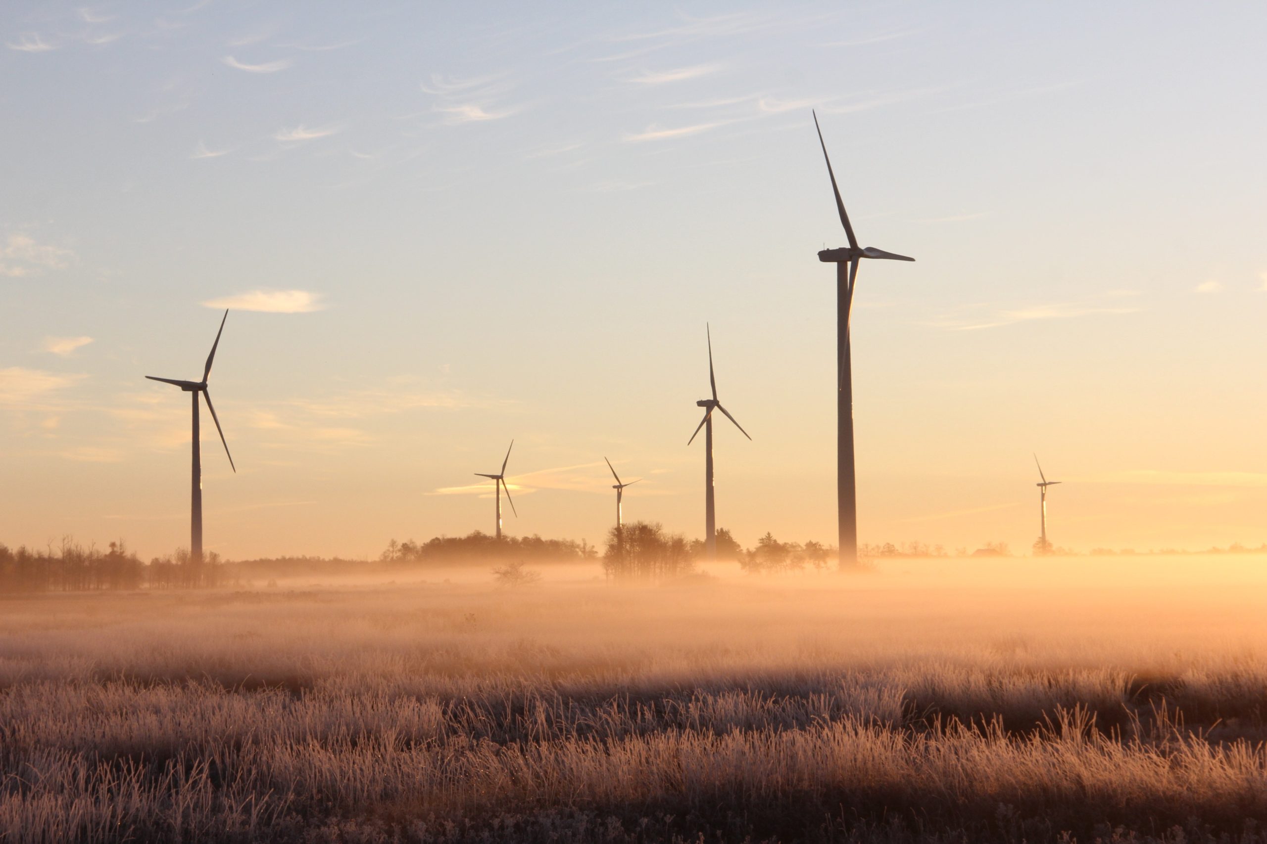 Environmental Photographer of the year 2022