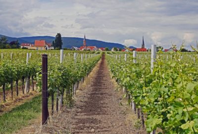 Stipendien Künstlerhaus Edenkoben