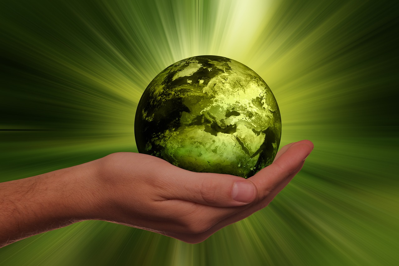 Anlaufstelle Green Culture