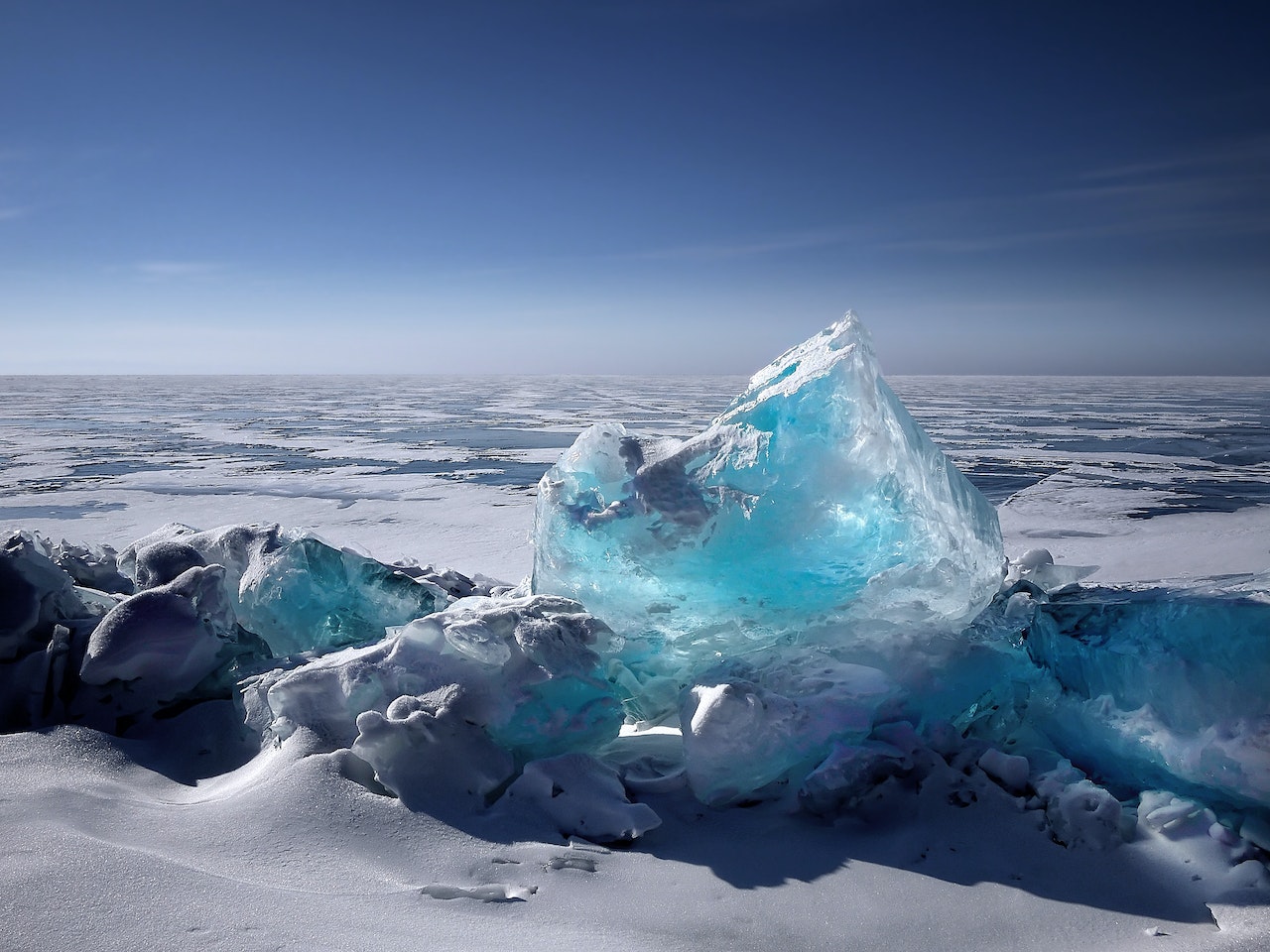 Gewinnt den Environmental Photography Award!