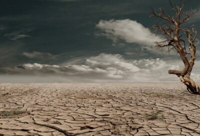 Preis für Klimaschutz im Kulturbereich