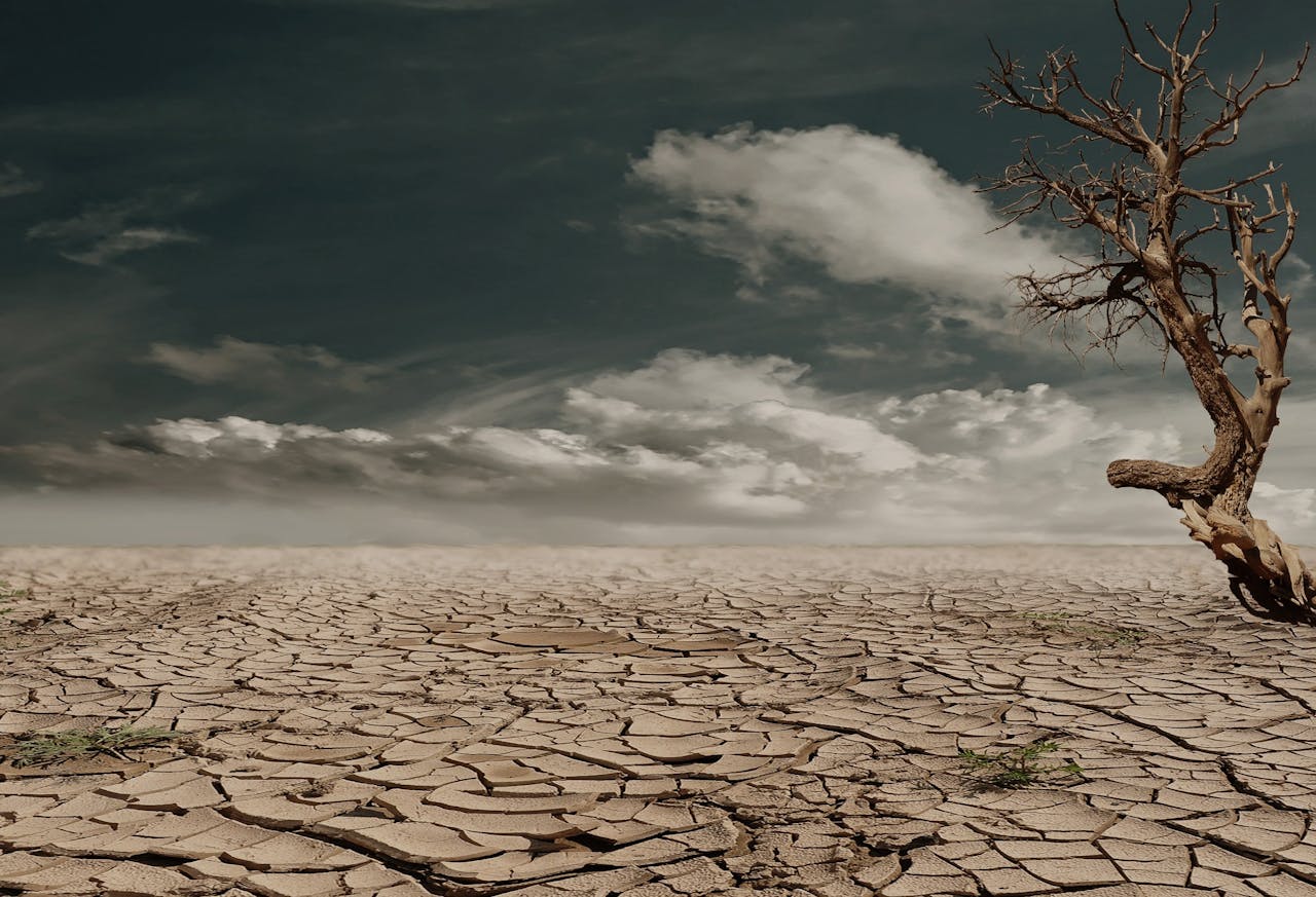 Preis für Klimaschutz im Kulturbereich