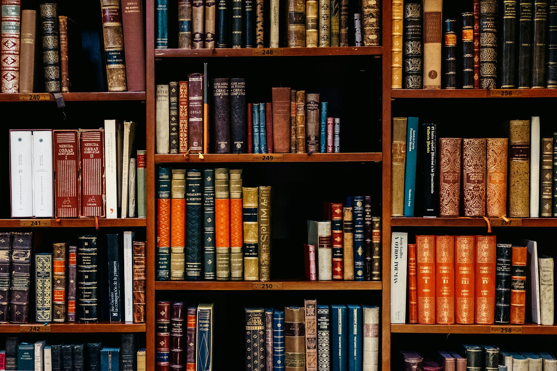 Nahaufnahme eines hohen, rustikalen Bücherregals aus dunklem Holz, das dicht mit antiken und klassisch gebundenen Büchern gefüllt ist. Die Buchrücken variieren in Farben wie Dunkelrot, Blau, Grün und Goldbraun und weisen teilweise kunstvolle Prägungen sowie goldene Schrift auf. Die einzelnen Regalböden sind mit kleinen nummerierten Messingschildern (z. B. 248, 249, 250) versehen. Die Atmosphäre wirkt bibliophil, gelehrt und zeitlos.