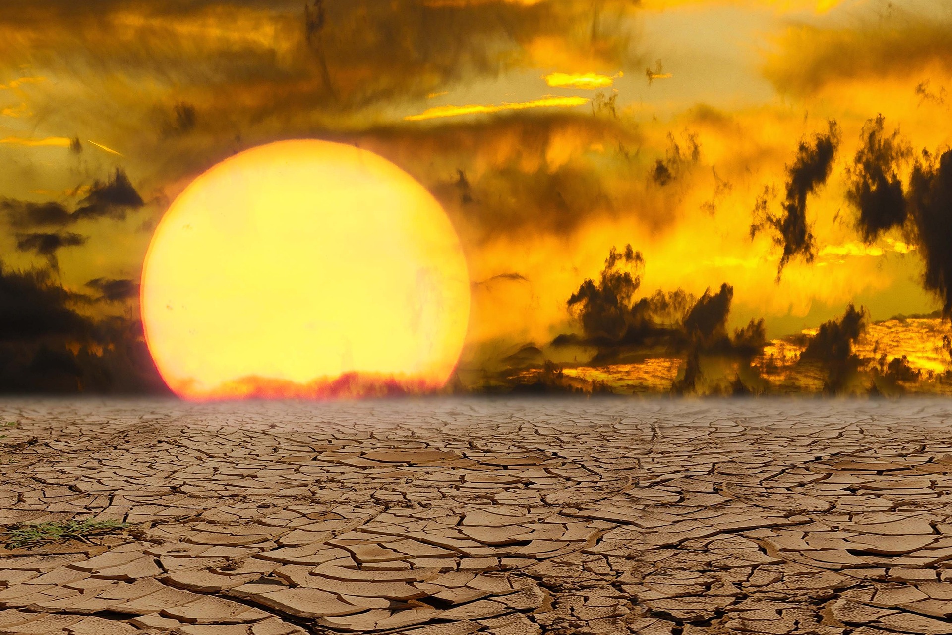 Alt-Text: Dramatische Bildkomposition zum Thema Klimawandel und Dürre: Im Vordergrund erstreckt sich ausgetrockneter, rissiger Lehmboden. Im Hintergrund geht eine überdimensional große, glutrote Sonne unter einem bedrohlich wirkenden, orangegelben Himmel mit dunklen Wolken und Dunst unter. Rechts sind schemenhaft Bäume zu erkennen. Das Bild vermittelt eine apokalyptische Stimmung und symbolisiert extreme Hitze und Wasserknappheit.