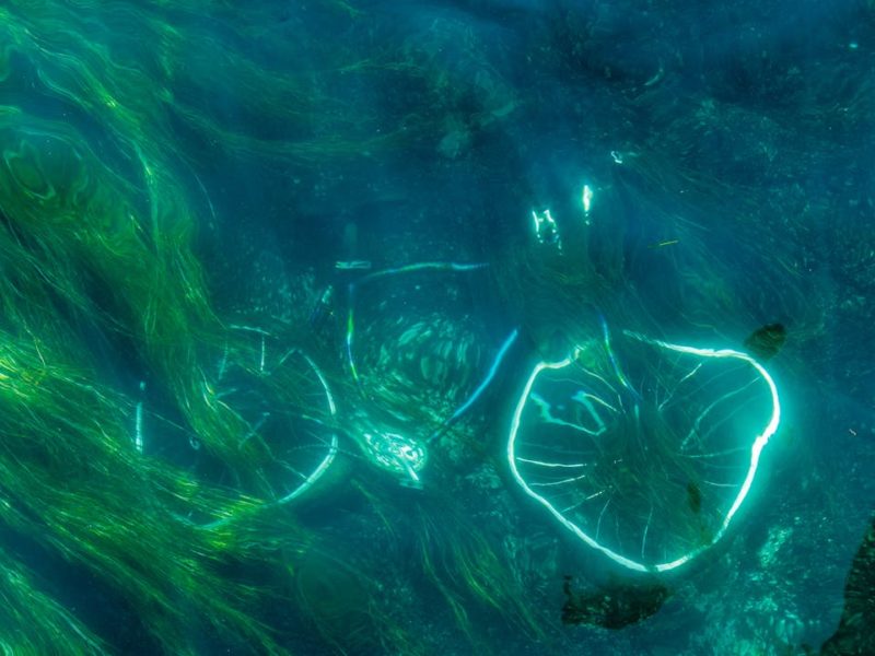 Unterwasseraufnahme eines versunkenen Fahrrads, das von grünlich leuchtenden Algen umgeben ist. Das Licht bricht sich schimmernd an den metallischen Teilen unter der Wasseroberfläche.