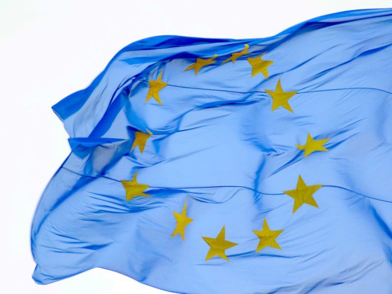 Wehende Flagge der Europäischen Union vor hellem Himmel, blau mit einem Kreis aus zwölf gelben Sternen.